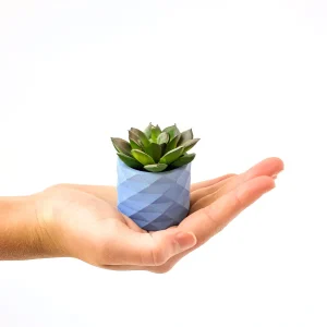 Small Concrete Geo Planter